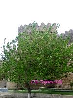 Baku_Mai05_0101.jpg