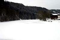 IMG_7959.jpg