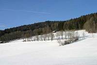 IMG_7977.jpg