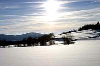 IMG_7982.jpg