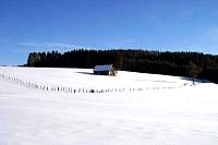 IMG_7983.jpg