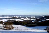 IMG_7990.jpg