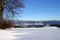 IMG_7992.jpg
