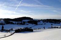 IMG_7996.jpg