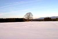IMG_8004.jpg