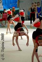TrofMostoles05_1326.jpg