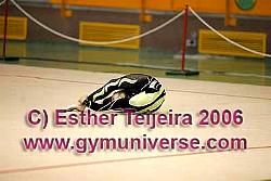 IVEstVer06_0017.jpg