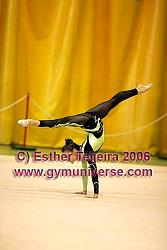 IVEstVer06_0025.jpg