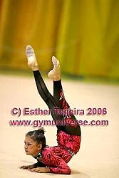 IVEstVer06_0220.jpg