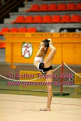 IVEstVer06_0201.jpg