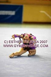 IVEstVer07_0815.jpg