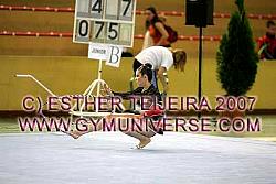 IVEstVer07_0708.jpg