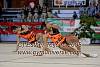 EuskalGym08_0066.JPG