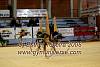 EuskalGym08_0211.JPG