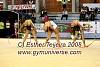 EuskalGym08_0346.JPG