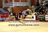 EuskalGym08_0446.JPG
