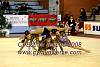 EuskalGym08_0455.JPG