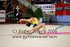 EuskalGym08_0504.JPG