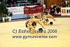 EuskalGym08_0966.JPG