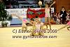 EuskalGym08_1071.JPG