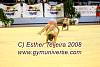 EuskalGym08_1075.JPG