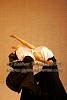 OpenMad08_0774.jpg