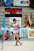 CEC_7182.jpg