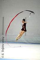CEC_7164.jpg