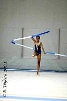 CEC_7619.jpg