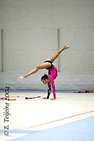 CEC_8017.jpg