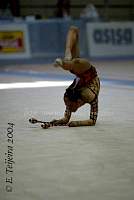CEC_2639.jpg