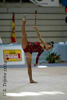 CEC_2825.jpg