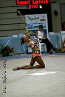 CEC_2902.jpg