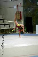 CEC_2943.jpg