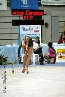 CEC_3149.jpg