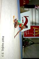 CEC_4043.jpg