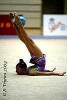 CEC_0510.jpg