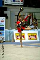 CEC_1515.jpg