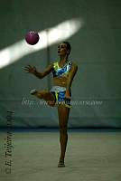 CEC_2009.jpg