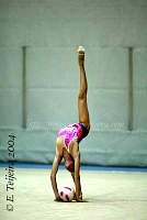 CEC_2430.jpg