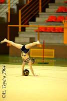 EstInv04_0017.jpg