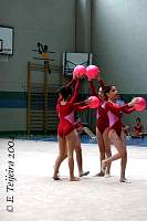 IMG_8290.JPG