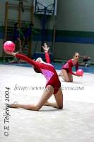IMG_8397.JPG