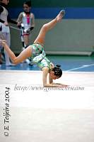 IMG_8559.JPG