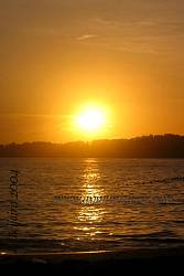 IMG_0096.jpg