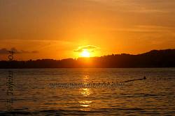 IMG_0100.jpg