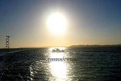 IMG_0210.jpg
