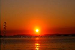 IMG_0266.jpg