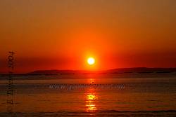 IMG_0268.jpg
