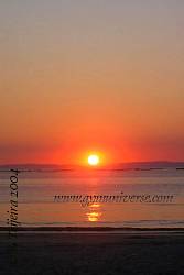 IMG_0271.jpg